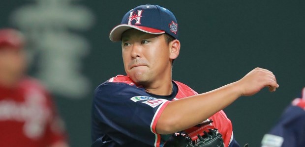 ����������  ���