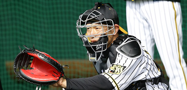 ��ƦȪ����  ���