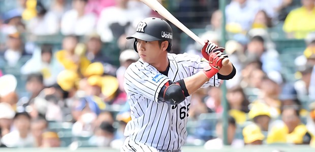 ����ο��  �����