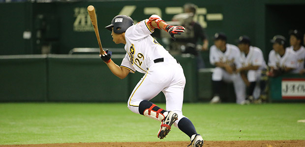 ��ƣ��  �����