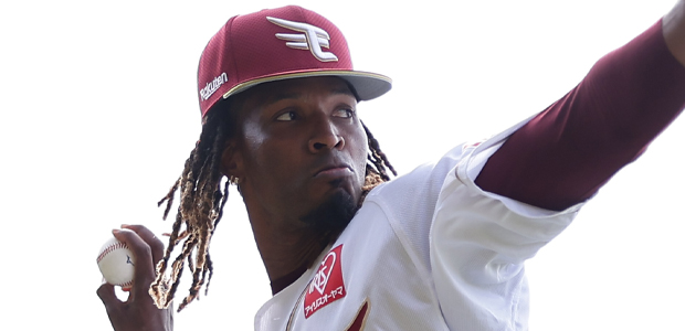 �ۥ������졼�˥� ���̳�ŷ������ǥ󥤡����륹 ���