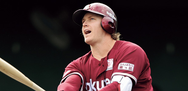 �֥��ɥ󡦥ǥ�������  �����