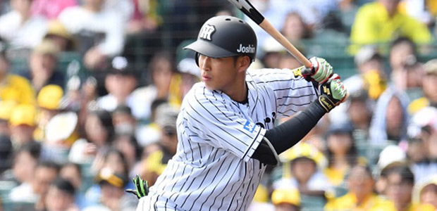 ����ľ��  �����