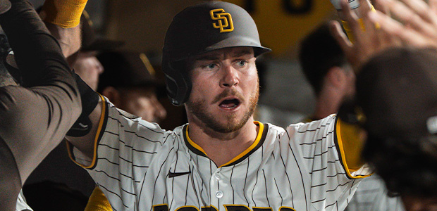 �饤���󡦥��ϡ��� �ѥ��졼�� �����