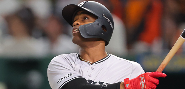 ���ꥨ���إ�ʥ�ǥ�  �����