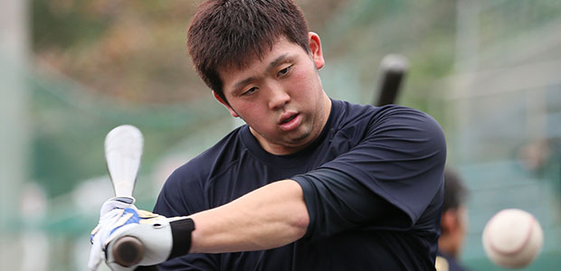 ��ϲ��  �����