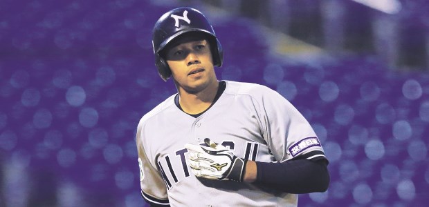 ��ƣ�ǥ��㡼��Ƿ �����̱� �����