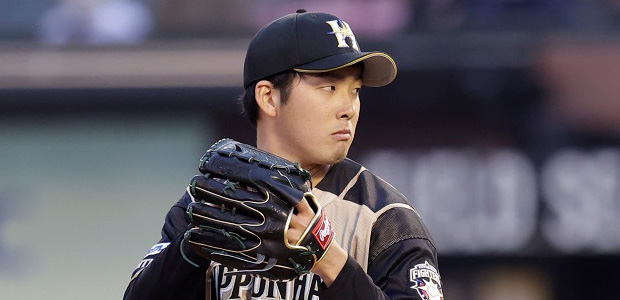 Ĺë��ο��  ���