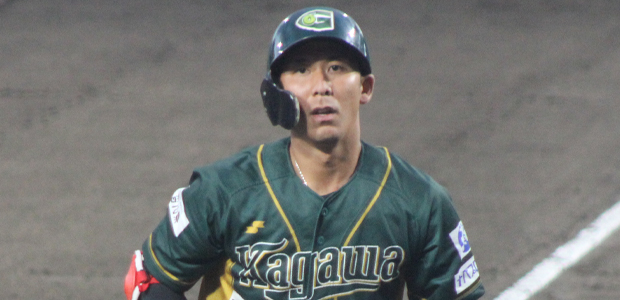 ˾������  �����