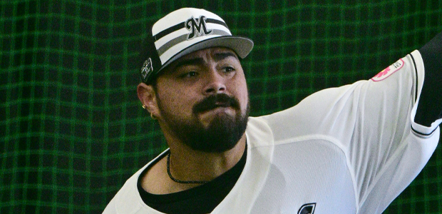 �ۥ��������ƥ����� ���ե��åƥޥ꡼�� ���