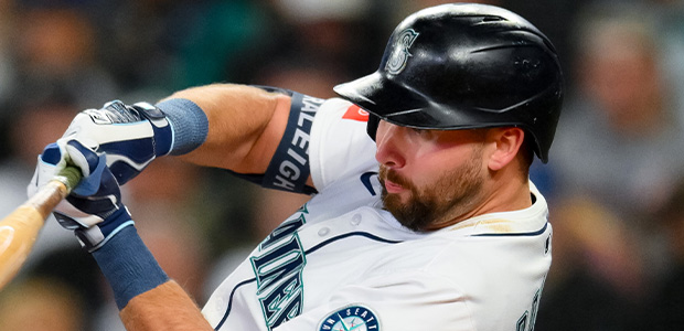 ���롦�����꡼ �ޥ�ʡ��� ���