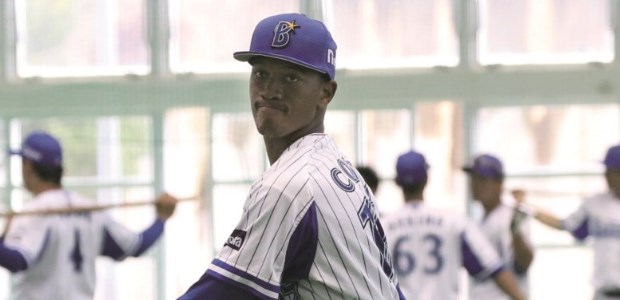 ��ߡ�������ǥ� ������ե塼���㡼�ɥ꡼�ॹ ���