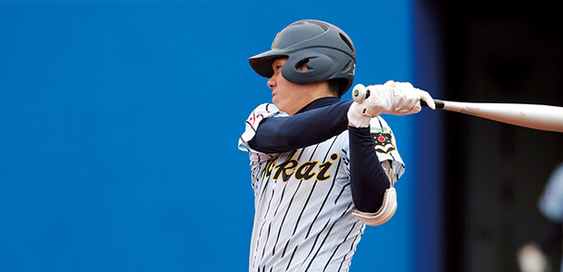 ���������  �����