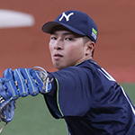 ����ζ��