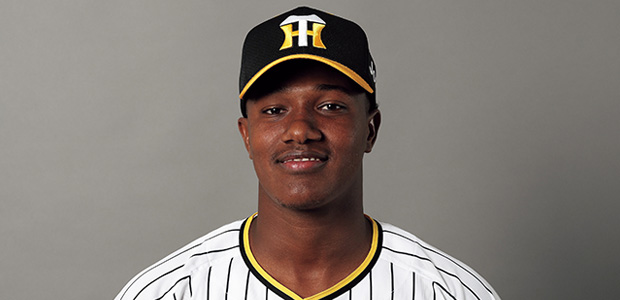 ���󥽥ˡ����ޥ�ƥ��ͥ� ������������� ���