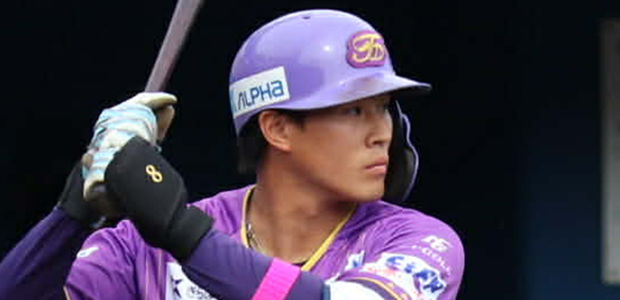 ��¼��� ������ե塼���㡼�ɥ꡼�ॹ �����