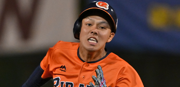 ����ͺ�� ��ɲ�ޥ�����ѥ��졼�� �����