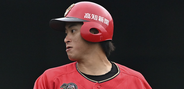 Ĺ���ͤ ���Υե����ƥ��󥰥ɥå��� �����