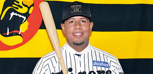 �����󡦥���ʥ��� ������������� �����