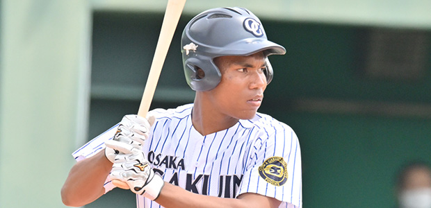 ���ɥݥ��������� �̳�ƻ���ܥϥ�ե��������� �����