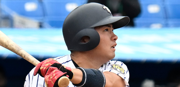 ������ƻ �������� �����