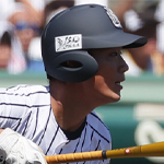 ���ĵ���