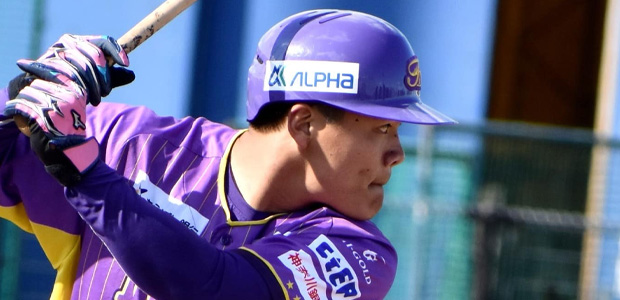 ������� ������ե塼���㡼�ɥ꡼�ॹ �����