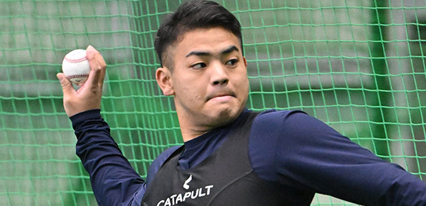 ����� �̳�ƻ���ܥϥ�ե��������� ���