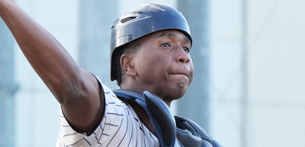 ��˥����롦���륤�󡦥̥˥��������㥱�� ��ʡ�βʳسر�� ���