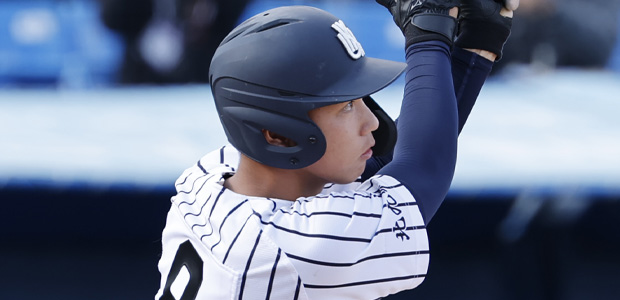 ̶��� �彣������չ� �����