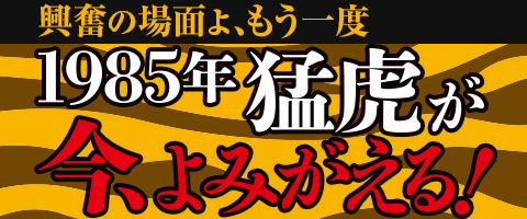 阪神タイガース80周年企画 「レジェンズデー第1弾」レポート | 野球