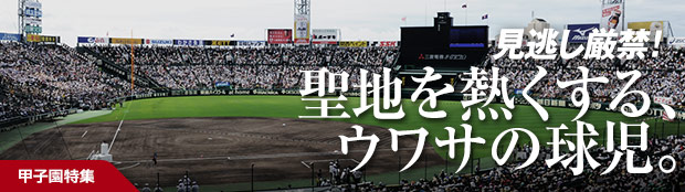 2015甲子園特集