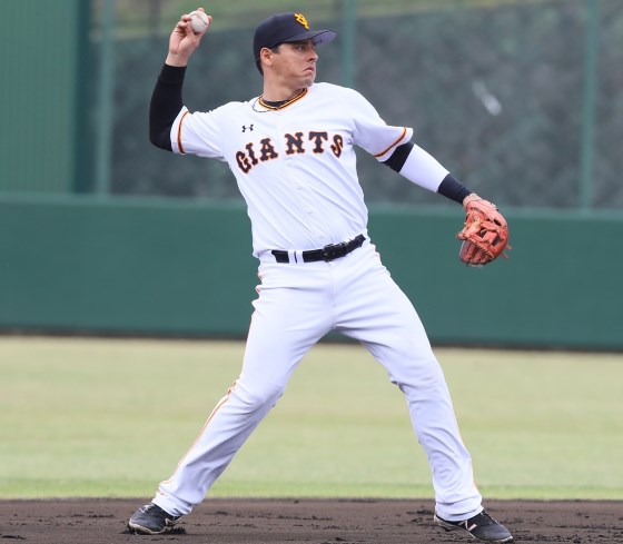 アンケート付 17年12球団60人助っ人カタログ 巨人 Dena 中日編 野球コラム 週刊ベースボールonline