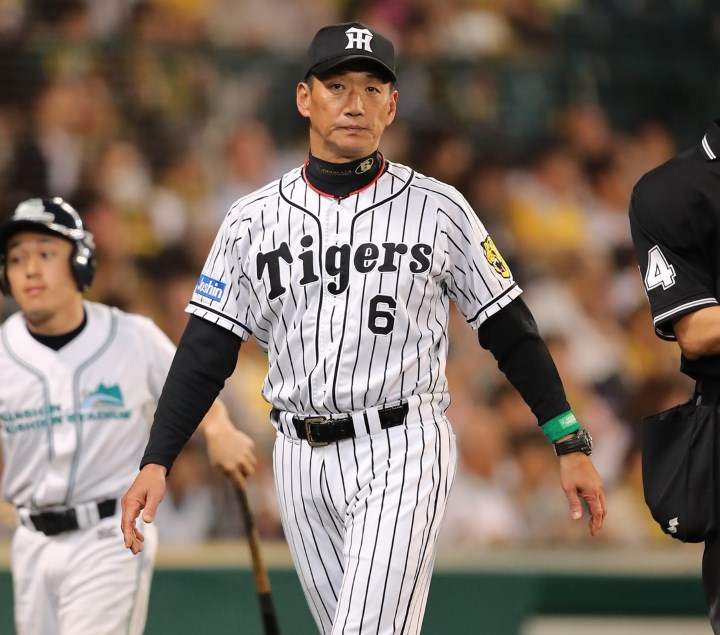 12球団 最速 戦力分析 阪神 リーグ優勝はロサリオ 藤浪と岩貞の活躍次第 野球コラム 週刊ベースボールonline