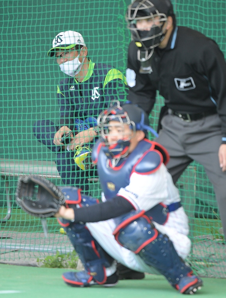 カルビープロ野球カード1980年 No.43 香川伸行捕手(南海ホークス