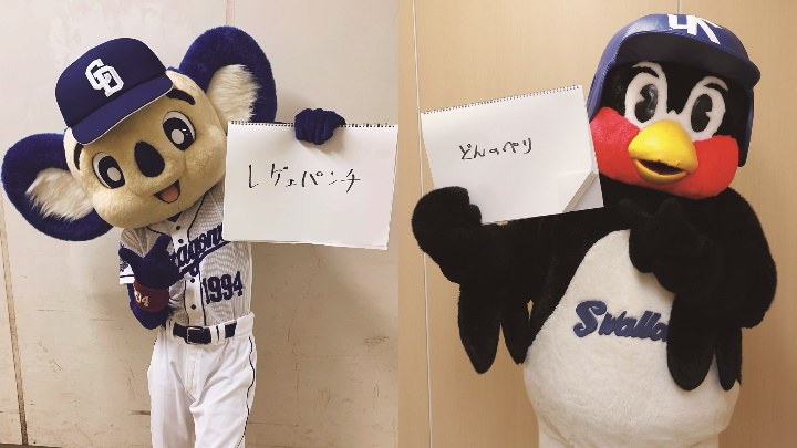 ドアラ 中日 とつば九郎 ヤクルト のお悩み相談室 質問コーナー 野球コラム 週刊ベースボールonline