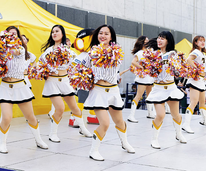 阪神・TigersGirls(タイガースガールズ)【2023 NPB チアグループ名鑑】