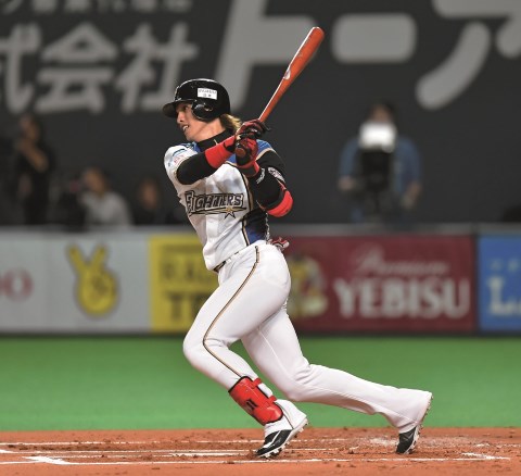 日本ハムファイターズ ボブルヘッド 陽岱鋼 限定 非売品 日本ハム