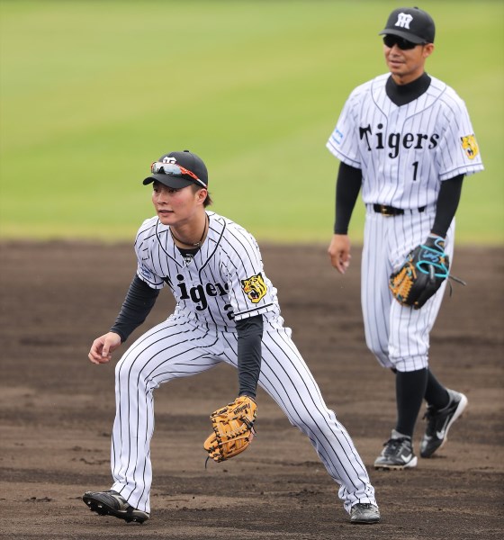 阪神 鳥谷敬 北條史也の争いが相乗効果に 野球コラム 週刊ベースボールonline