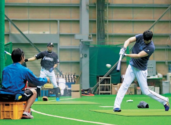 日本プロフェッショナル野球協約