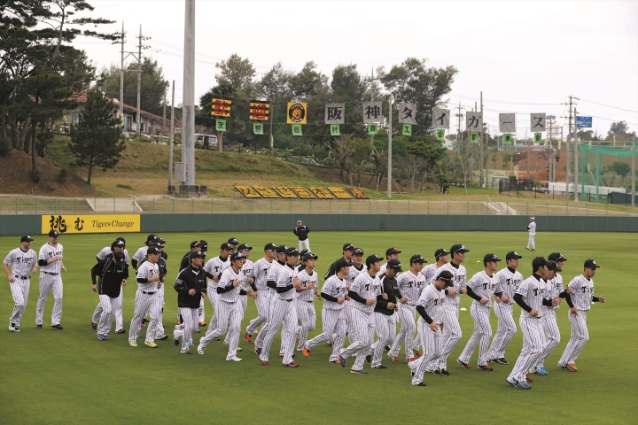 12球団キャンプ情報 阪神 各ポジションでの争い激化 一番 執念 を見せるのは誰だ 野球コラム 週刊ベースボールonline