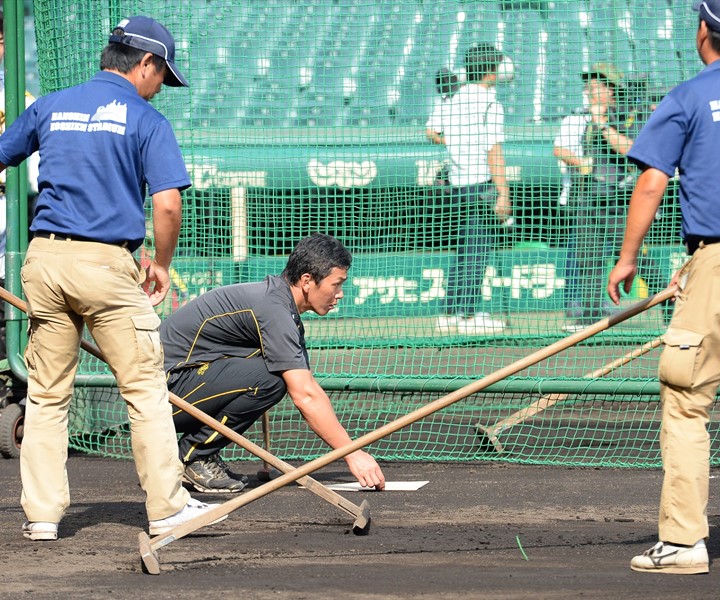 阪神一軍サブマネジャー・清水誉 野球界を支える舞台裏の仕事人 | 野球 