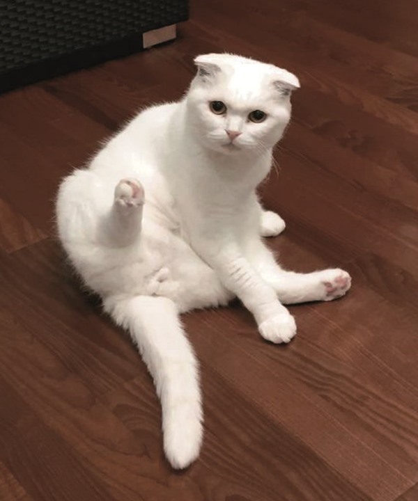 武田勝選手が使用していたパーカー