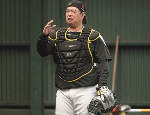 プロ野球ブルペン捕手 キャッチャーミット www.krzysztofbialy.com