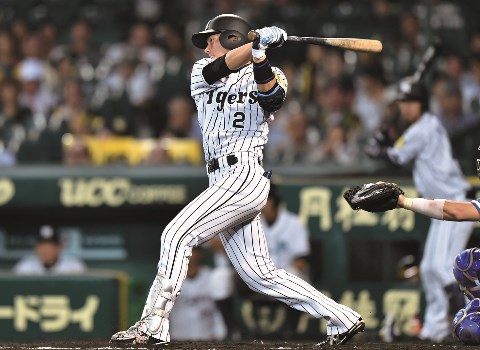 硬式用木製バット　元阪神タイガース北條史也モデル 阪神 北條の一発で今季初の1試合4本塁打 チーム3年ぶり/阪神