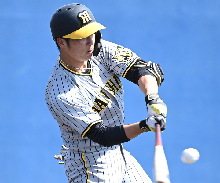 阪神・井坪陽生　「バッティングのことを考えるのが好き」広角に打てる将来が楽しみな逸材／待たれる一軍デビュー