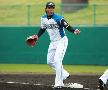 プロ野球 稲葉篤紀選手 手袋 グローブ