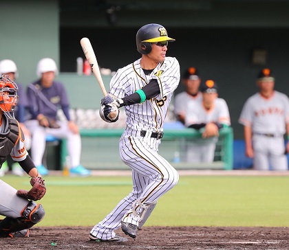 阪神タイガース 荒木郁也選手実使用キャップ