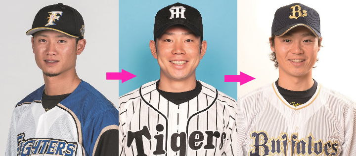 �ץ�����ͷϿ���峦��졼�ȡ���2017-2018