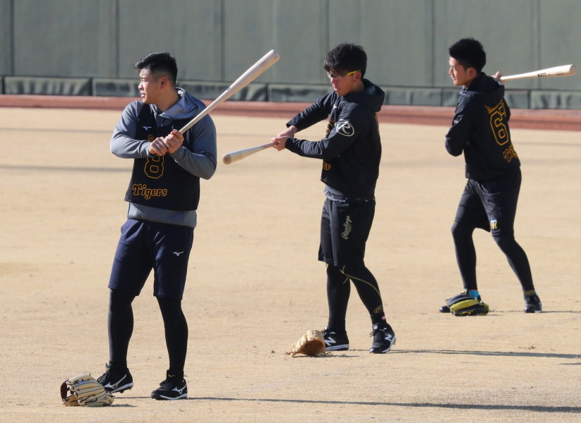 岡田彰布コラム 打ってナンボの阪神 佐藤は三塁で大山に挑むべき 田中マー君の楽天復帰は衝撃よ 野球コラム 週刊ベースボールonline